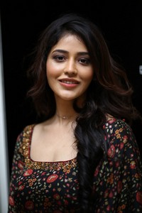 Priyanka Jawalkar at Gamanam Success Meet